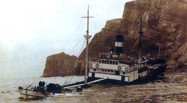 Carlos Bertrand - Collection L. Santa Olaya Carlos Bertrand - Collection L. Santa Olaya